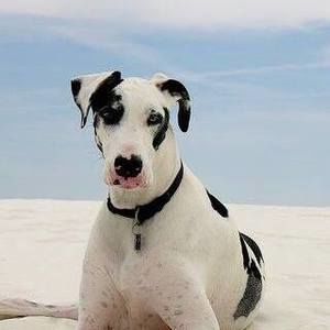 Meet your Posher, Milla